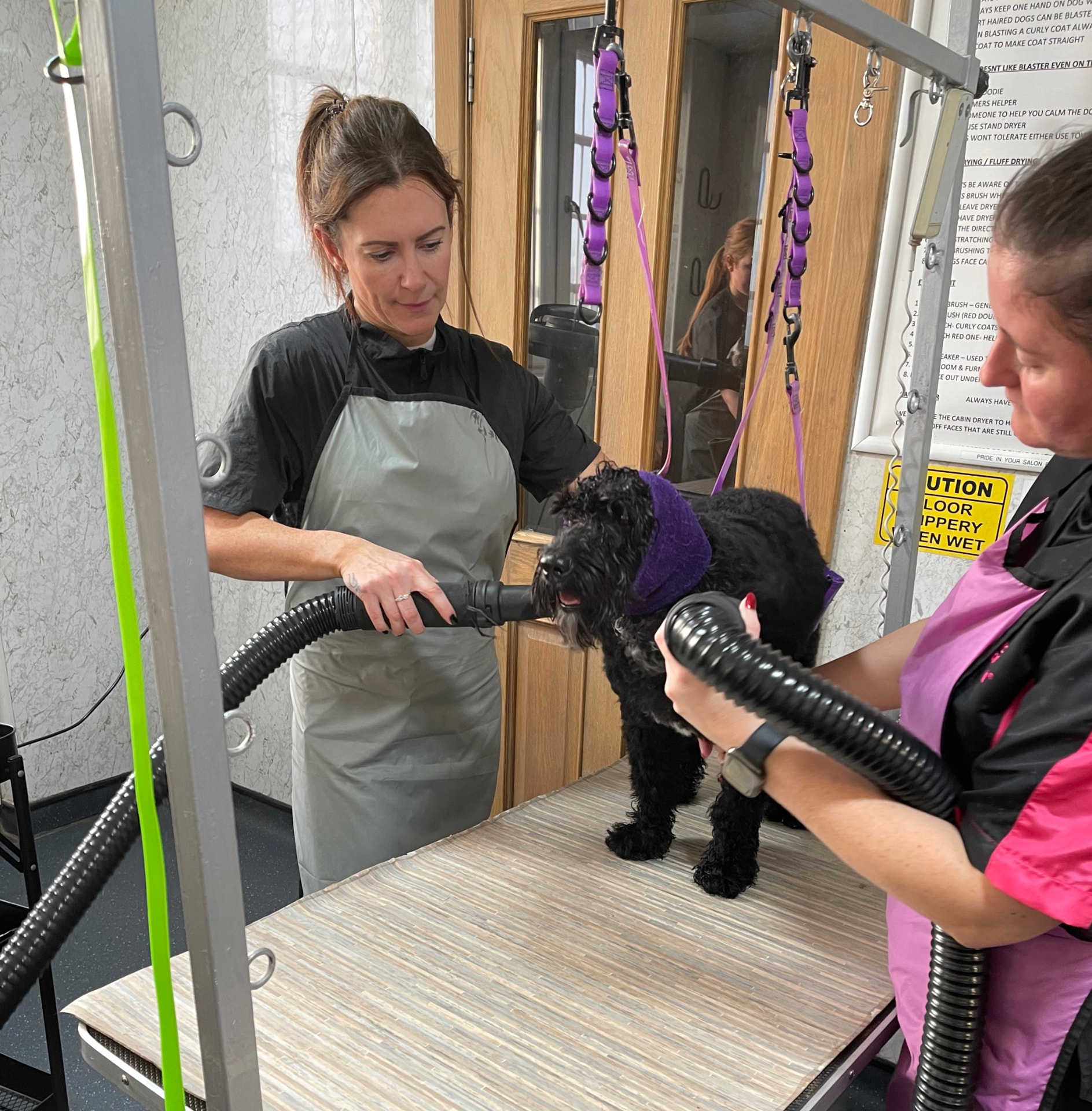 Black dog being dried in the salon