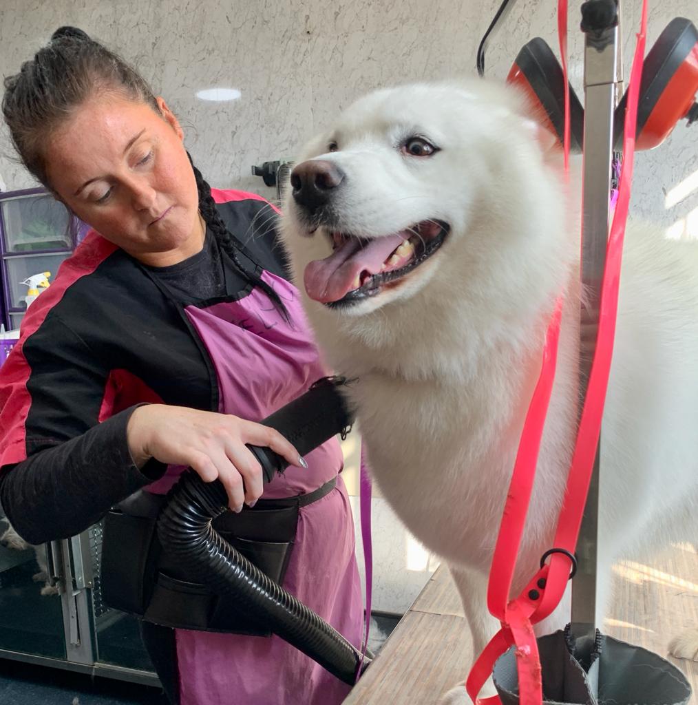Kelly, groomer at Pampers in Stirling