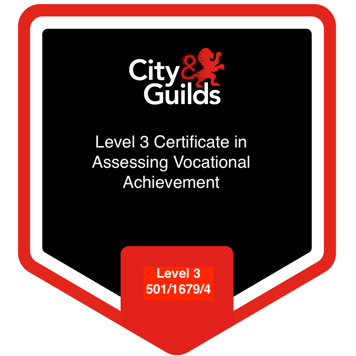City & Guilds Level 3 assessing badge