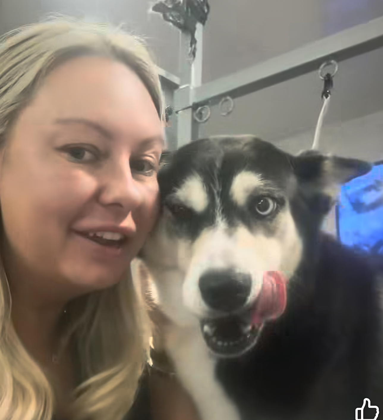 Jodie, groomer at Pampers in Stirling